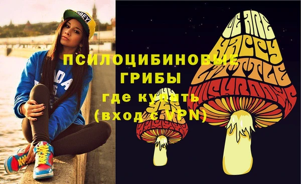 шишки Алексеевка