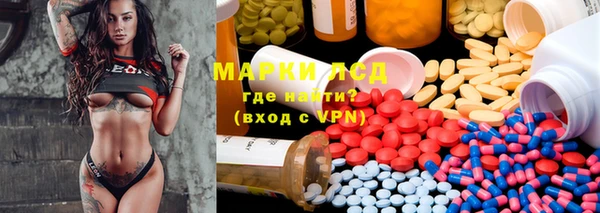 крисы Алзамай