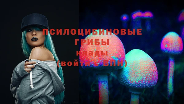 крисы Алзамай