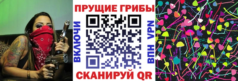 MEGA tor  Чёрмоз  Галлюциногенные грибы мицелий 